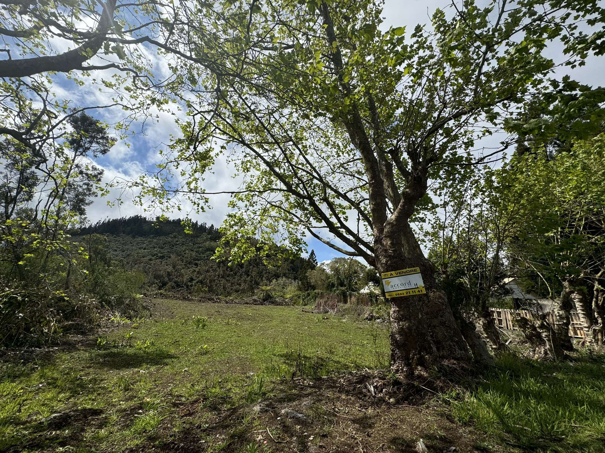 Terrain - La plaine des cafres